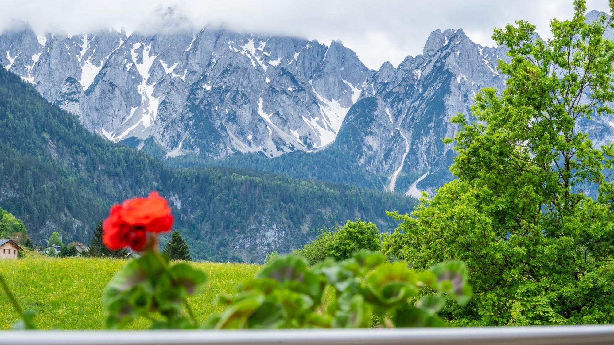 Haus Friedrich Hotel Gosau Eksteriør billede
